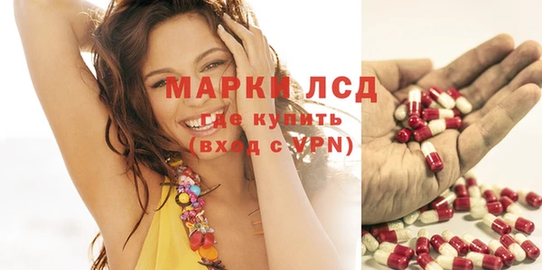 ешки Бронницы