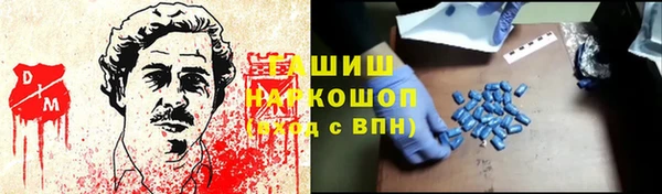 индика Бородино