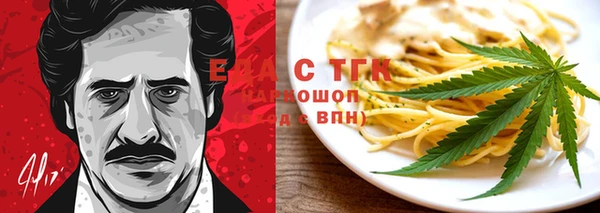 индика Бородино