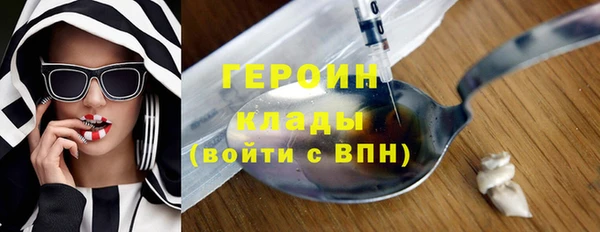индика Бородино