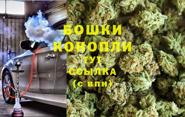 индика Бородино