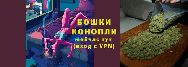 стаф Верея