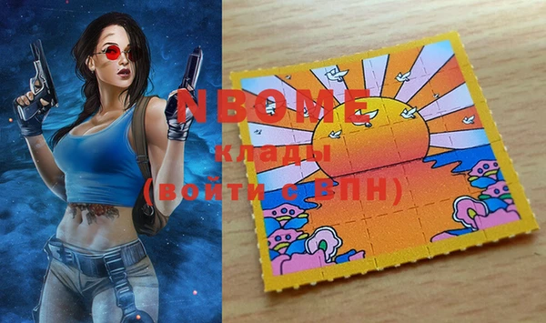 индика Бородино