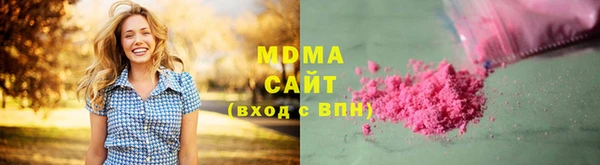 индика Бородино