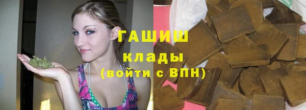 индика Бородино