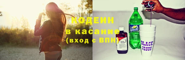 индика Бородино