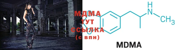 индика Бородино