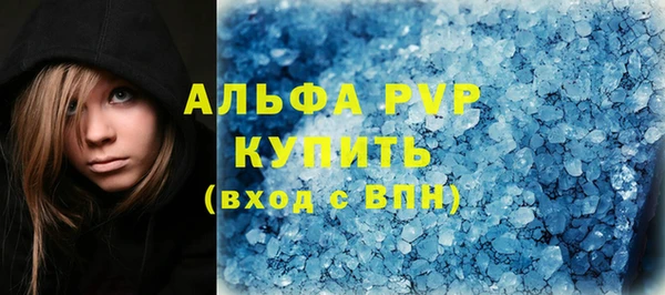 индика Бородино