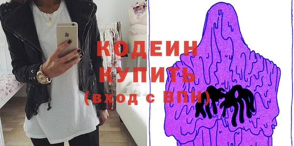 индика Бородино