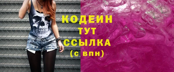 индика Бородино