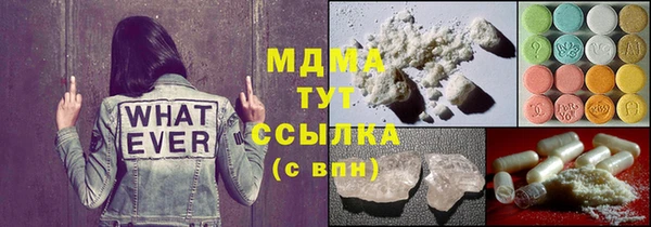 индика Бородино